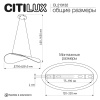 Подвесной светильник Citilux Skatt CL213132