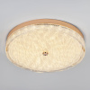 Потолочный светильник LED4U L1117-500 GD