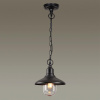 Уличный подвесной светильник Odeon Light Campa 4965/1