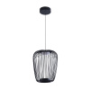 Подвесной светильник Arte Lamp Flare A3528SP-12BK