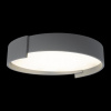 Потолочный светильник Loft IT Coin 10200 Grey