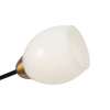 Потолочная люстра Freya Lucid FR5240CL-08B