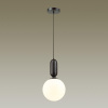 Подвесной светильник Odeon Light Okia 4668/1
