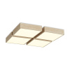Потолочный светильник Freya Cubba FR5450CL-L120BG
