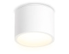 Накладной светильник Ambrella Light IP Protect TN6550