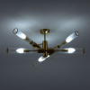 Люстра на штанге Freya Radiant FR5642PL-06BS
