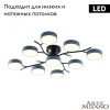 Потолочная люстра Arte Milano Ferrara 256606/8+1 Bk/Gr