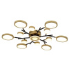 Потолочный светильник F-Promo Hybrid 4686-13C