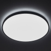 Потолочный cветильник Nowodvorski Agnes Round Led Pro Black 10974