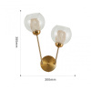 Бра Arte Milano Neapolis 272880/2B GD