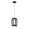 Подвесной светильник Indigo Capsula 14027/2P Black V000155L