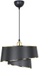Подвесной светильник Toplight Adriana TL1621H-01BK