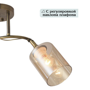 Потолочная люстра Natali Kovaltseva Taylor 81452/2W