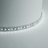 Cветодиодная лента Feron LS612 41448