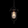 Подвесной светильник LOFT IT Warehouse Loft1141