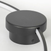 Потолочная люстра Lussole Lowell LSP-7110