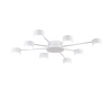 Потолочная люстра Lumion Comfi Torina 8343/8C