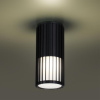 Уличный потолочный светильник Novotech Street Costas 370993