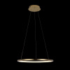Подвесной светодиодный светильник Loft IT Ring 10014M