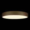 Потолочный светильник Loft IT Flims 10228/A