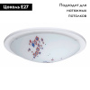 Настенно-потолочный светильник Eglo Planet 4 32124
