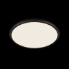 Потолочный светильник  LOFT IT Sweety 10454/400 Black