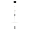Подвесной светильник Loft IT Flamingo 10598B