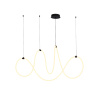 Подвесной светильник Arte Lamp Klimt A2850SP-80BK
