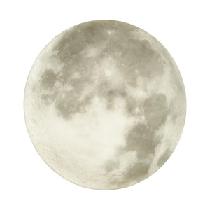 Настенно-потолочный светильник Sonex Pale Moon 3084/CLN