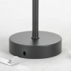 Подвесная люстра Lussole Loft Fishers LSP-8798