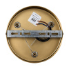 Подвесная люстра Freya MatchFR6109PL-06G