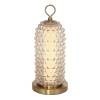 Настольная лампа ST Luce Saguaro SL6144.304.01