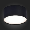 Потолочный светильник ST Luce Functional ST606.442.12