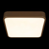 Потолочный светильник Loft IT Flims 10228/C