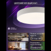 Потолочный светильник Natali Kovaltseva Modern LED LAMPS 81105/1C