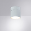 Накладной спот Arte Lamp Intercrus A5549PL-1WH