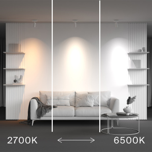 Трековый магнитный светильник Maytoni Technical Focus Led Radity TR103-4-12WTW-M-W