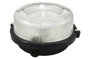 Настенно-потолочный светильник TDM Electric НПП 03-100-005.03 SQ0311-0004