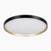 Потолочный светильник Citilux Etalon CL750501R