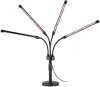Светильник для растений Эра FITO-40W-АLED-Ra -USB Б0068290