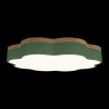 Потолочный светильник Loft IT Axel 10225/36 Green