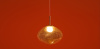 Подвесной светильник Freya Mote FR5601PL-L40YA