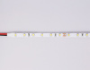 Светодиодная лента Ambrella Light LED Strip 24В 2835 6Вт/м 3000K 5м IP20 GS3001