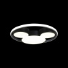 Потолочный светильник Loft IT Mike 10165