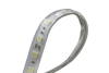 Светодиодная лента DesignLed DSG560-24-W-65 002377