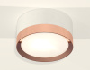 Потолочный светильник Ambrella Light Techno Spot XS8101006 (C8101, N8126)