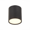 Потолочный светильник ST Luce Rene ST113.432.05