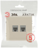 Розетка Эра Arktik 16-3108-04 информационная двойная 2XRJ45 шампань Б0070487