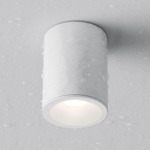 Потолочный светильник Maytoni Antares C029CL-01W