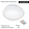 Настенно-потолочный светодиодный светильник Eglo Sileras 97578